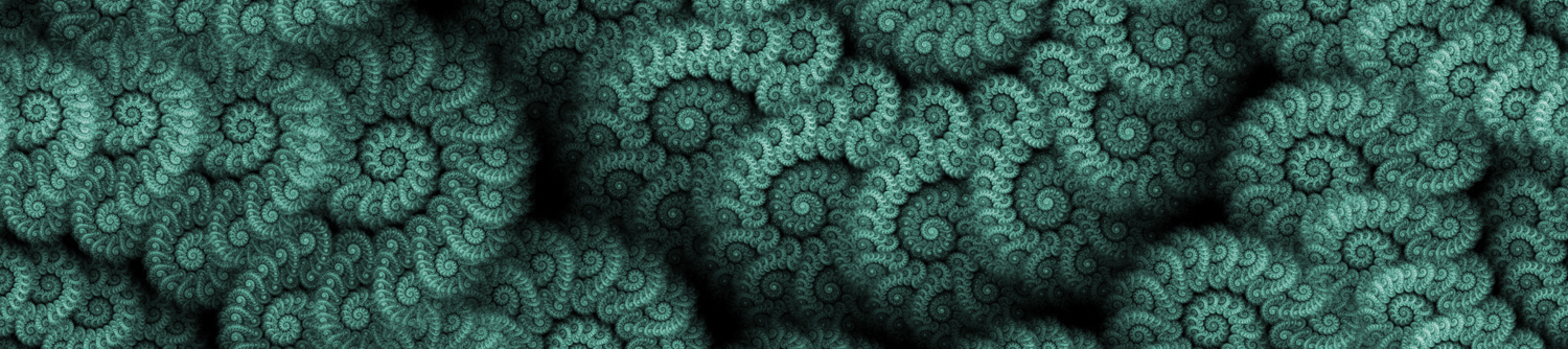 fractals-header-home-page-divider-02